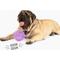 Show in main carousel: Gnawsome Spiky Ball Dog Chew Toy, Purple slide 2 of 3