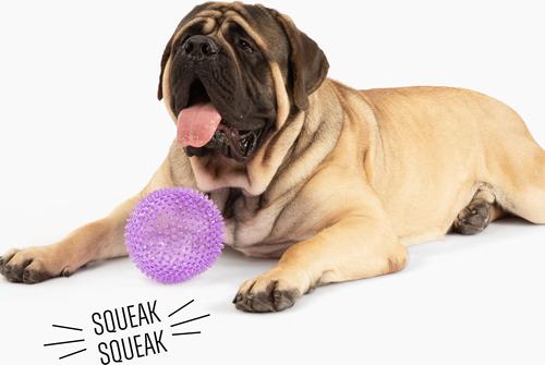 Show full view: Gnawsome Spiky Ball Dog Chew Toy, Purple slide 2 of 3