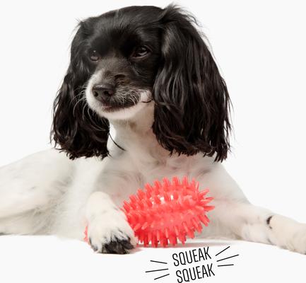 Show full view: Gnawsome Squeaker Drumstick Dog Chew Toy, Red slide 2 of 3