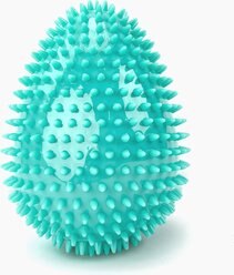 Gnawsome Spiky Egg Dog Chew Toy, Teal, Mega