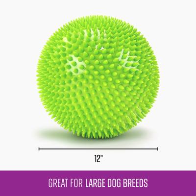 Show full view: Gnawsome Herding Ball Dog Toy slide 3 of 5