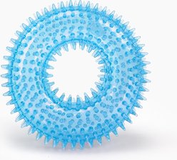 Gnawsome Spiky Ring Dog Chew Toy, Blue, Medium