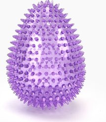Gnawsome Spiky Egg Dog Chew Toy, Purple, Mega