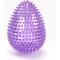 Show in main carousel: Gnawsome Spiky Egg Dog Chew Toy, Purple, Mega slide 1 of 4
