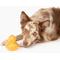 Show in main carousel: Gnawsome Squeaker Duck Dog Chew Toy, Yellow slide 3 of 5