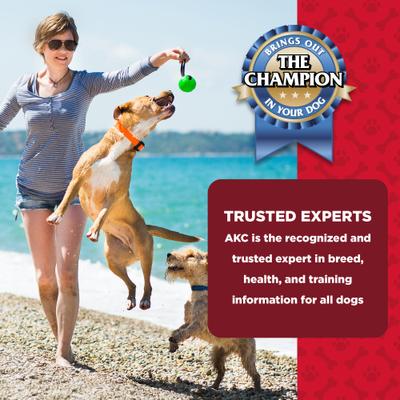 Show full view: American Kennel Club Treats AKC 10 Piece Dentacare Filled Bone Dental Dog Chew Treats, 15.8-oz bag slide 7 of 8