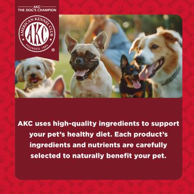 Show full view: American Kennel Club Treats AKC 10 Piece Dentacare Filled Bone Dental Dog Chew Treats, 15.8-oz bag slide 5 of 8