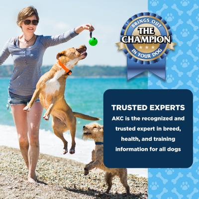 Show full view: American Kennel Club Treats AKC Dentacare Sweet Pot Pumpkin Stick Dental Dog Chew Treats, 18.3-oz bag slide 7 of 9