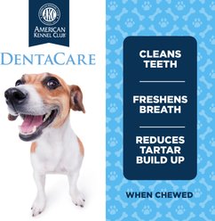 American Kennel Club Treats AKC Dentacare Sweet Pot Pumpkin Stick Dental Dog Chew Treats, 18.3-oz bag slide 2 of 7