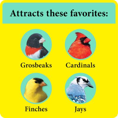 Show full view: Better Bird Songbird Bird Food, 5-lb bag slide 5 of 7