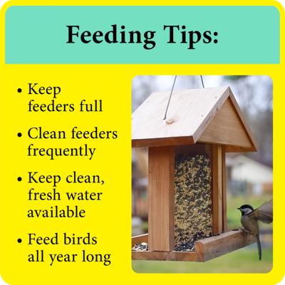 Show full view: Better Bird Songbird Bird Food, 5-lb bag slide 7 of 7