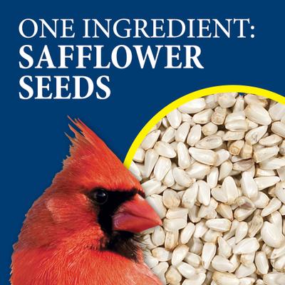 Show full view: Wild Delight Safflower Wild Bird Food, 20-lb slide 5 of 8