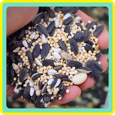 Show full view: Better Bird Songbird Bird Food, 5-lb bag slide 2 of 7