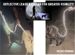 IBK Doggies Flashlight Reflective Nylon Bungee Dog Leash Collar Set, Black, X-Large: 24 to 30-in neck, 1.5-in wide slide 2 of 9