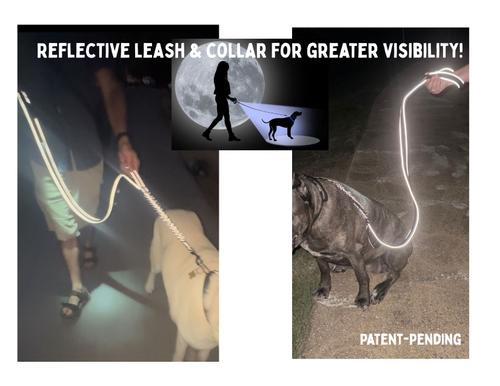 Show full view: IBK Doggies Flashlight Reflective Nylon Bungee Dog Leash Collar Set, Black, Large: 18 to 24-in neck, 1.5-in wide slide 4 of 10