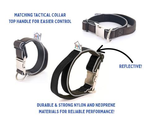Show full view: IBK Doggies Flashlight Reflective Nylon Bungee Dog Leash Collar Set, Black, Large: 18 to 24-in neck, 1.5-in wide slide 7 of 10