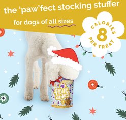 Fruitables Chick-N-Cran Cravings Flavor Baked Deliciously Healthy Crunchy Dog Treats, 7-oz slide 2 of 8