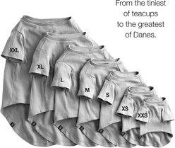 Pet Passion Toby II-The Extra Perfect Dog Tee Shirt, 3 count, Gray Ombre, Medium slide 2 of 7