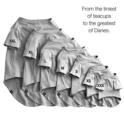 Show full view: Pet Passion Toby II-The Extra Perfect Dog Tee Shirt, Gray Ombre, Medium slide 6 of 8