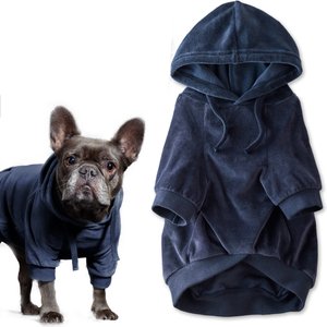 Pet Passion Cooper II - The Velour Solid Dog Hoodie, Navy, Small