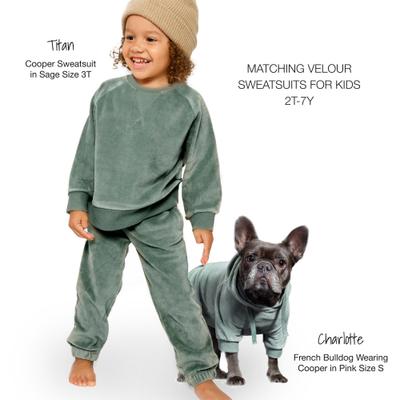 Show full view: Pet Passion Cooper II - The Velour Solid Dog Hoodie, Sage, Medium slide 5 of 10