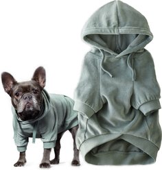 Pet Passion Cooper II - The Velour Solid Dog Hoodie, Sage, Large