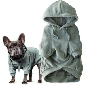 Pet Passion Cooper II - The Velour Solid Dog Hoodie, Sage, Medium