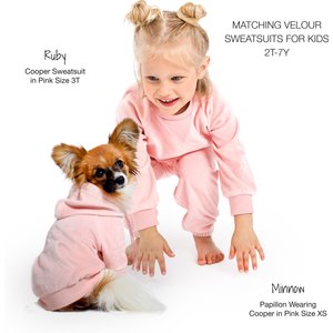 Pet Passion Cooper II - The Velour Solid Dog Hoodie, Pink, Small