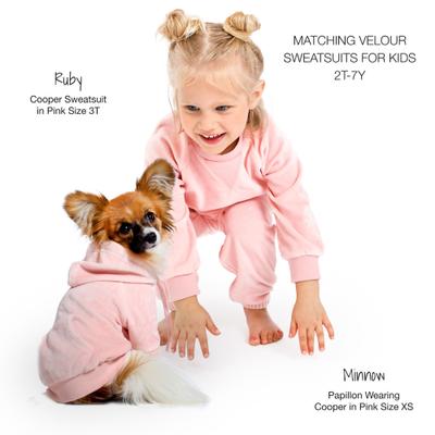 Show full view: Pet Passion Cooper II - The Velour Solid Dog Hoodie, Pink, Large slide 5 of 10