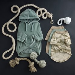 Pet Passion Cooper II - The Velour Solid Dog Hoodie, Sage, Small slide 2 of 9