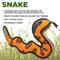 Show in main carousel: Hound2O Snake Dog Plush Toy, Orange slide 3 of 7