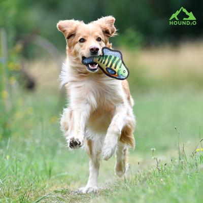 Show full view: Hound2O Ballistic Nylon Bluegill Plush Dog Toy, Multicolor slide 3 of 6