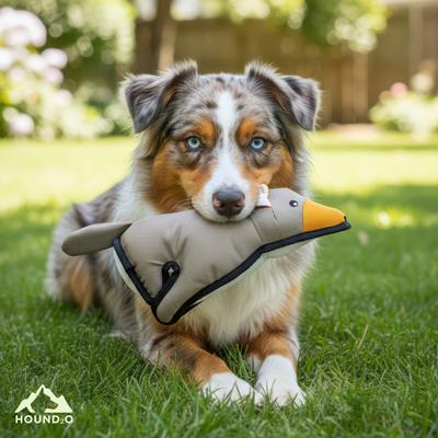 Show full view: Hound2O Coyote Dog Plush Toy, Gray slide 3 of 6