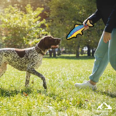 Show full view: Hound2O Ballistic Nylon Spotted Trout Plush Dog Toy, Multicolor slide 4 of 7