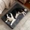 Show in main carousel: JOEJOY Rabbit Fur Quilted Memory Foam Pad Dog & Cat Bed, Grey, 41 x 27 x 4-in slide 7 of 9