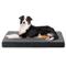 Show in main carousel: JOEJOY Rabbit Fur Quilted Memory Foam Pad Dog & Cat Bed, Grey, 35 x 22 x 3-in slide 1 of 10