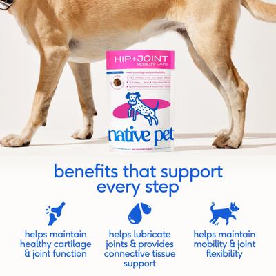 Show full view: Native Pet Hip & Joint Mobility Care Chews for Dogs, 60 count slide 5 of 11