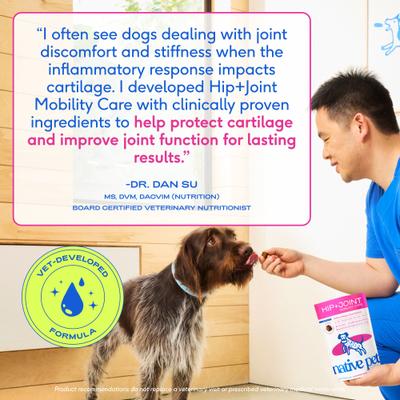 Show full view: Native Pet Hip & Joint Mobility Care Chews for Dogs, 60 count slide 7 of 11