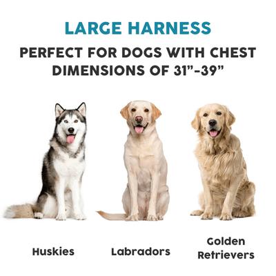 Show full view: Embark Harness Co. Adventure No Pull Dog Harness, Aurora, Large slide 2 of 10