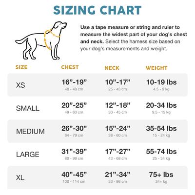 Show full view: Embark Harness Co. Adventure No Pull Dog Harness, Green, Small slide 3 of 9