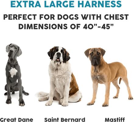 Show full view: Embark Harness Co. Adventure No Pull Dog Harness, Black, X-Large slide 2 of 9