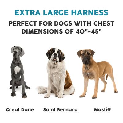 Show full view: Embark Harness Co. Adventure No Pull Dog Harness, Aurora, X-Large slide 2 of 10