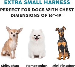 Embark Harness Co. Adventure No Pull Dog Harness, Blue, X-Small slide 2 of 8