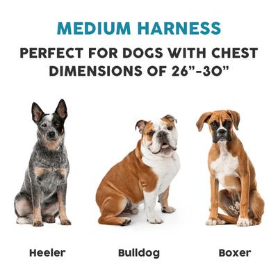 Show full view: Embark Harness Co. Adventure No Pull Dog Harness, Red, Medium slide 2 of 8