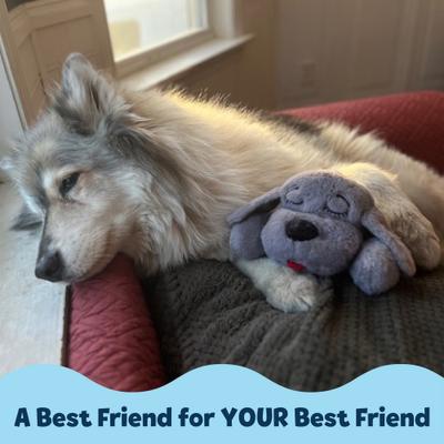 Show full view: Snuggle Puppy Original Plush Behavioral Aid & Anxiety Relief Dog Toy, Gray slide 4 of 8