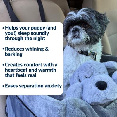 Show full view: Snuggle Puppy Junior Plush Dog Toy, Gray slide 3 of 8