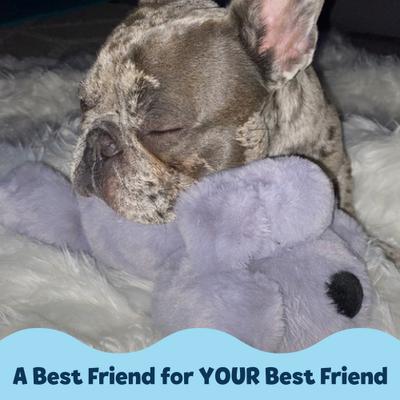 Show full view: Snuggle Puppy Junior Plush Dog Toy, Gray slide 4 of 8