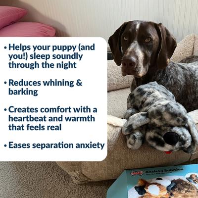 Show full view: Snuggle Puppy Plus Plush Dog Toy, Merle slide 3 of 8