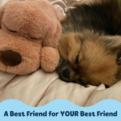 Show full view: Snuggle Puppy Junior Plush Dog Toy, Light Brown slide 4 of 8