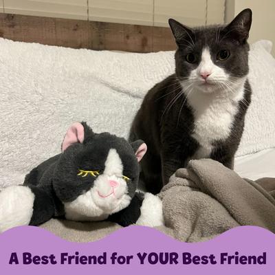 Show full view: Snuggle Puppy Snuggle Kitty Plush Dog Toy, Gray & White slide 4 of 8